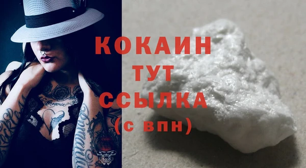 прущие грибы Покровск