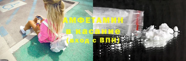 прущие грибы Покровск