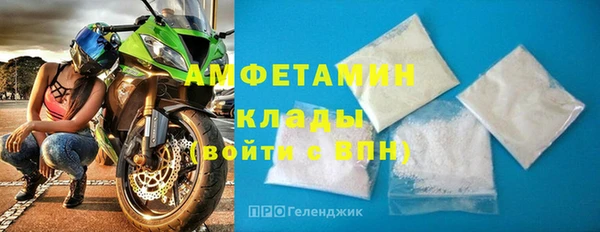 прущие грибы Покровск