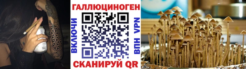 Псилоцибиновые грибы мицелий  Отрадное 