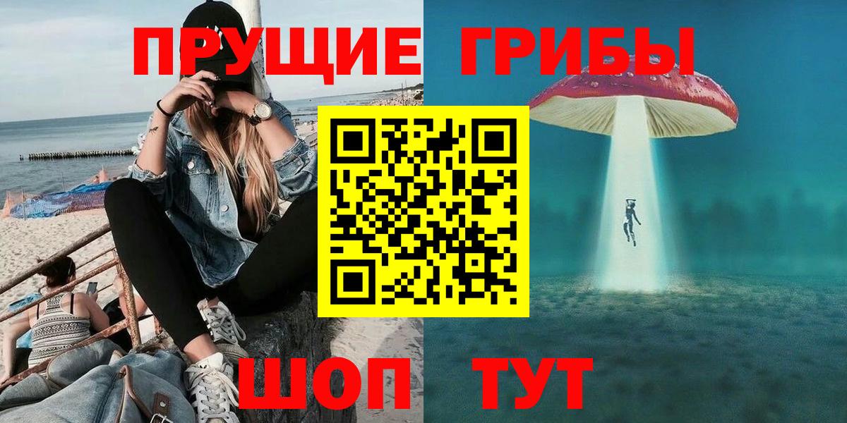 Псилоцибиновые грибы Psilocybe Отрадное