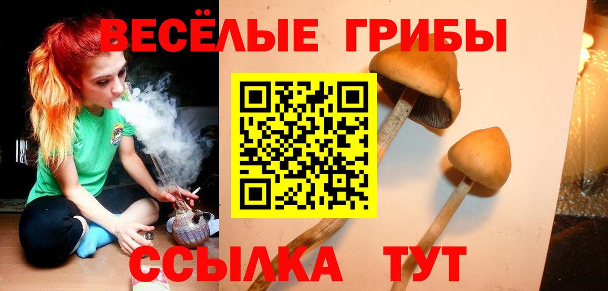Отрадное  Псилоцибиновые грибы GOLDEN TEACHER  Вход с VPN 